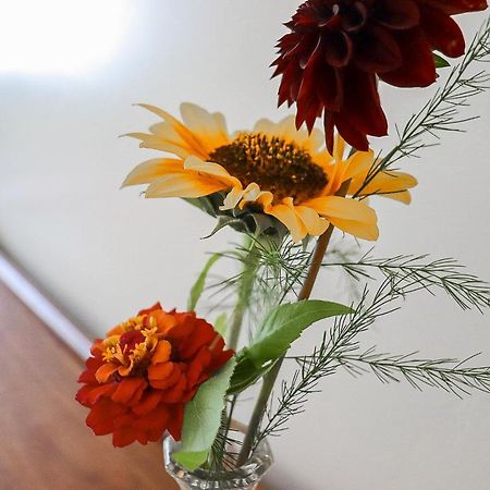 גולד ביץ' Foxglove Suite At The Wildflower Inn מראה חיצוני תמונה